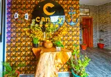 Canary Hotel & Spa foto 10