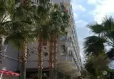 Surtel foto 7