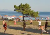 Kazela foto 29