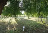 Camping Lilybeo Village foto 3