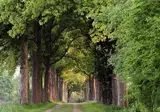 Bilderberg Château Holtmühle foto 21