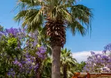 Perdikia Hill Family Resort & Villas foto 12