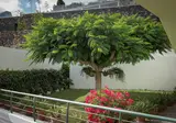 Casa Azano - inclusief huurauto foto 12