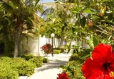 Barefoot Beach Resort foto 12