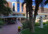 Hotel Palas Pineda foto 23