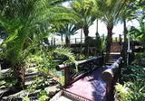 Hotel Parque Tropical foto 21