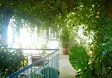 Villa Jota foto 2
