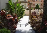 Los Ficus foto 8