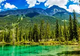 Whales, Bears and Vancouver Island foto 2