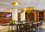 Starhotels Tourist foto 19