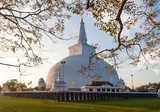 Rondreis Compleet Sri Lanka foto 5