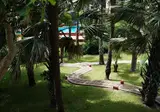 Lemon Creek Hotel Resort foto 3
