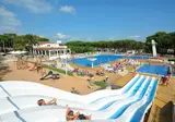 Cypsela foto 3
