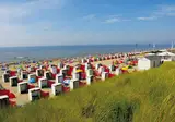 Koningshof foto 39