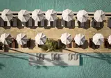The Royal Senses Resort & Spa Crete, Curio Collection by Hilton foto 6