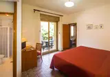 Delle Palme foto 14