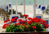 Albanian Star Hotel foto 6