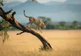 Tanzania op het gemak foto 3
