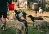 Yelloh Village L Océan Breton foto 21