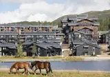 Hotel Norefjell Ski & Spa foto 1