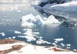 Expeditiecruise Antarctica per m/v Hondius foto 6