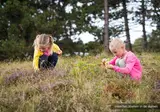 Loodsmansduin foto 20