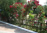 Asteris Village foto 21