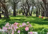 Hotel Yannis Corfu foto 5