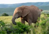Pragtig Suid-Afrika foto 12