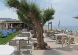 Malliotakis Beach foto 4