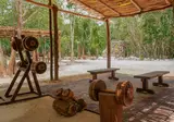 Jolie Jungle Eco Hotel foto 1