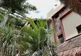 Macondo Raíz Holbox foto 9