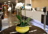 Wingate by Wyndham Bronx/Haven Park foto 30
