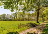Summio Buitenplaats de Marke van Ruinen foto 13