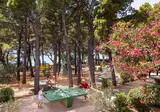 Sunny Makarska foto 22