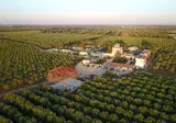 Agriturismo Tenuta Mazzetta foto 1