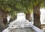Naxos Holidays Hotel foto 22