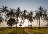 Neptune Paradise Beach Resort & Spa foto 16