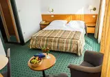 Hotel Vile Park foto 3