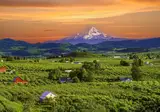 Oregon op het gemak foto 2