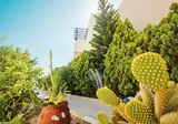 Arkasa Bay foto 18