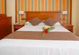 Hotel Mainake SL foto 29