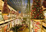 Kerstmarktcruise Düsseldorf en Keulen foto 6