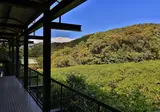 Rainforest Eco Lodge foto 12