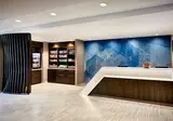 SpringHill Suites New York Midtown Manhattan foto 6