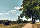 Buitenplaats Kasteel Elsloo foto 26