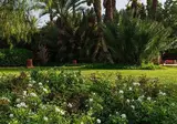 Riad Palais Mehdi foto 7