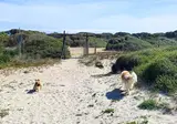 S Ena Arrubia foto 9