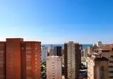 Paraiso Centro foto 15