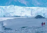 Alaska & Yukon Highlights foto 7